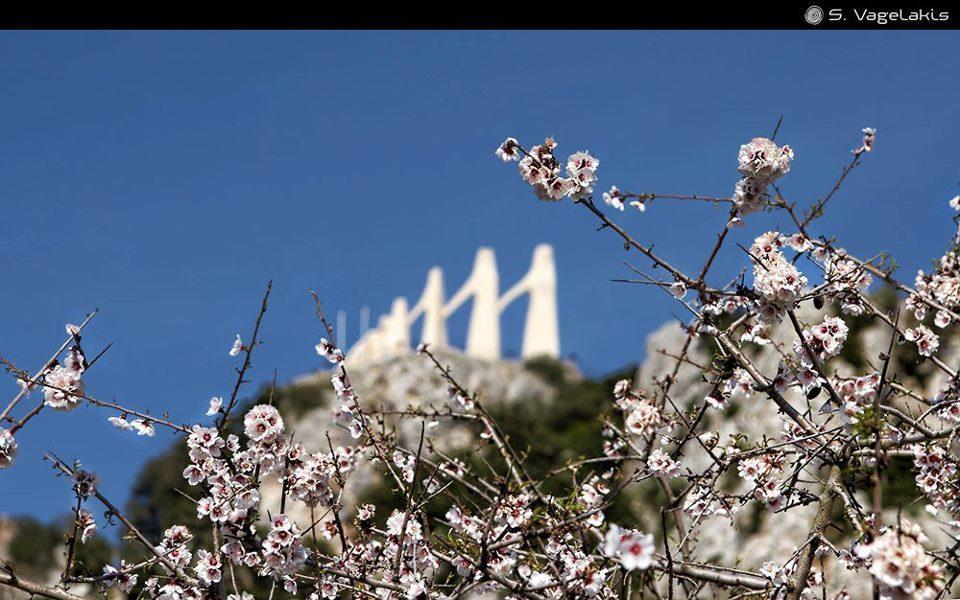 Hotel Fotini 米提卡斯 外观 照片